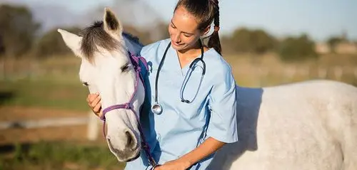 Register As A Vet Microchip Registration